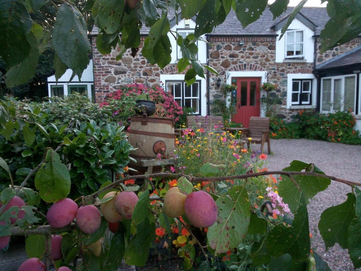Berwick Hall Cottage Moira  Zewnętrze zdjęcie