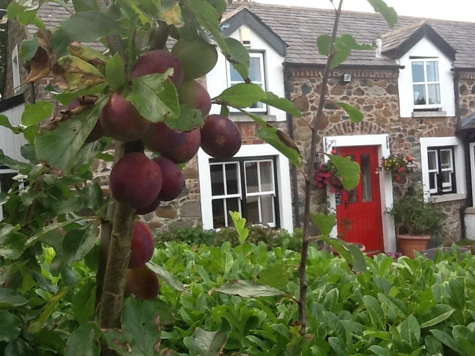 Berwick Hall Cottage Moira  Pokój zdjęcie